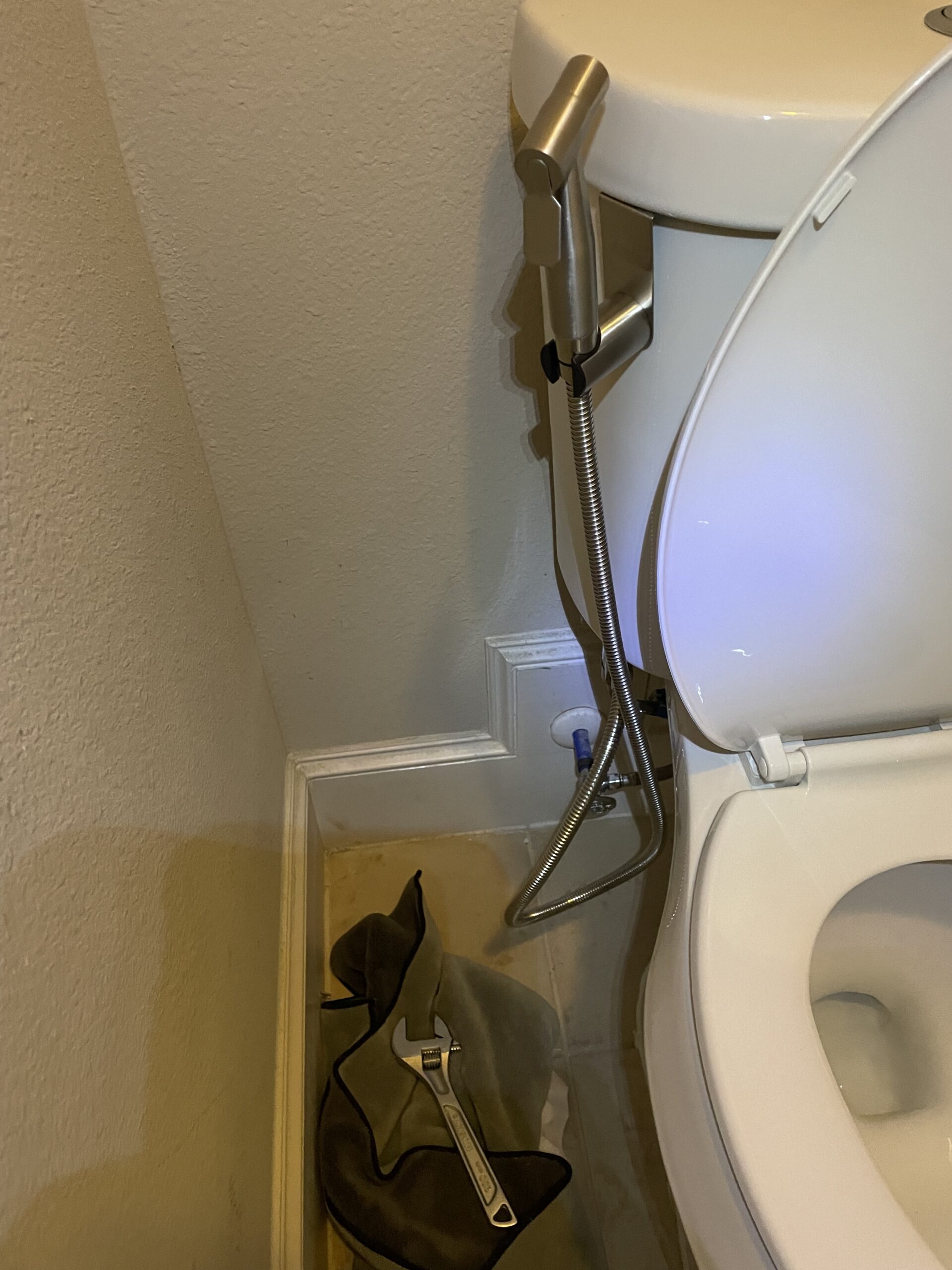 Why Bidets Are Totally Worth It Embracing the Cleanest Revolution