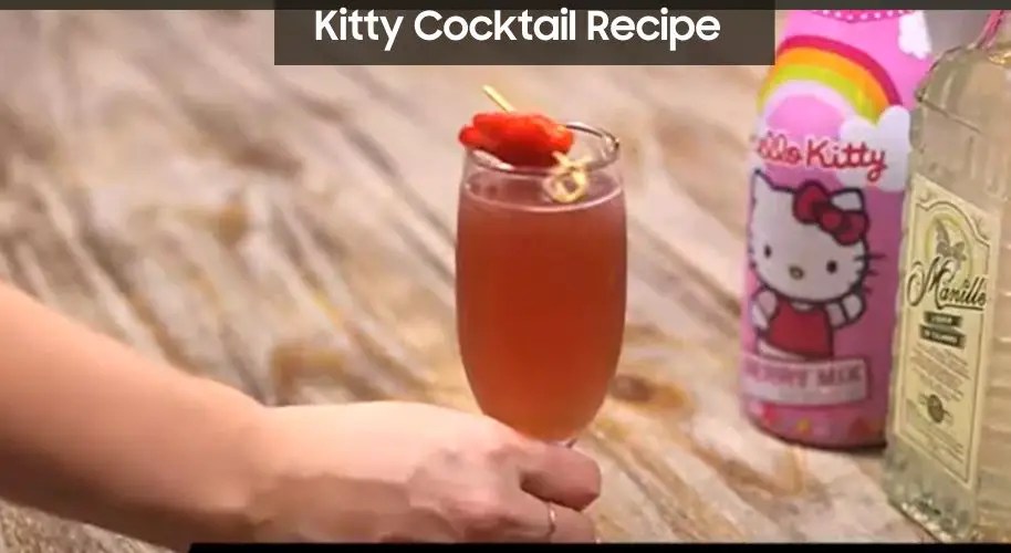 Kitty Cocktail Recipe Easy Kitchen Guide