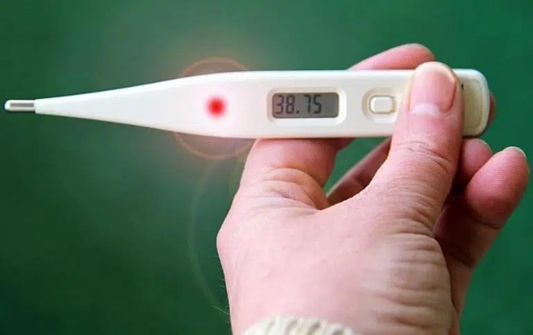 How Does an Infrared Thermometer Work? | Easy Living Mom