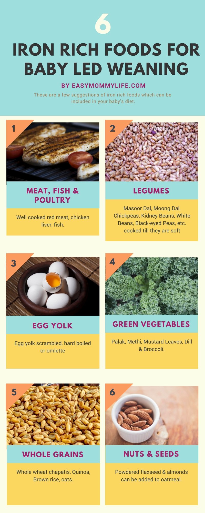 Baby Led Weaning Guide For Indian Mothers Easy Mommy Life