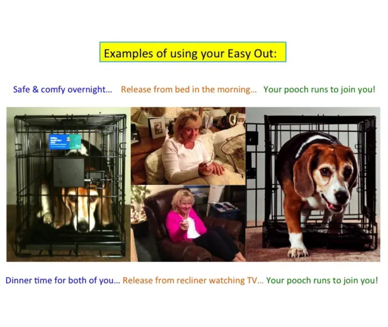 RemoteControlled Dog Door Opener Easy Out