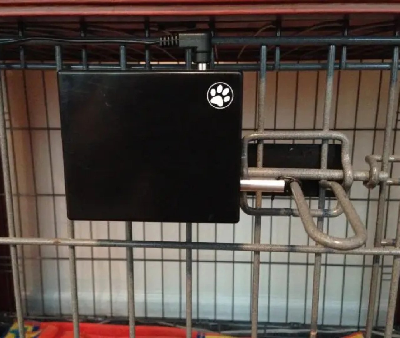 RemoteControlled Dog Door Opener Easy Out