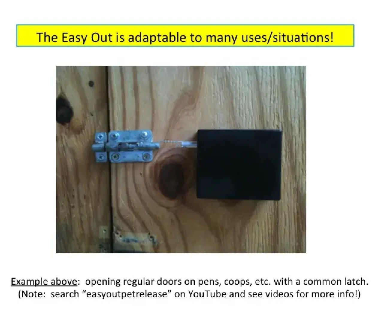 RemoteControlled Dog Door Opener Easy Out