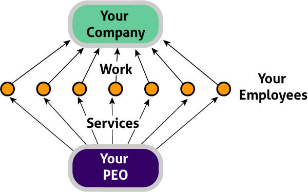 What is a Professional Employer Organization (PEO)?