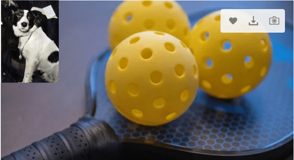 Training Aids Easy Pickleball Guide Play Better Pickleball