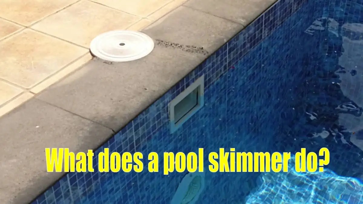 Pool Skimmers EasyPoolCleaning