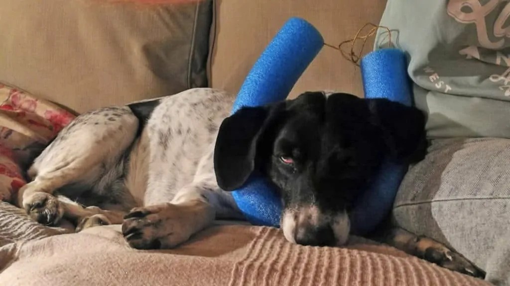 What Is A Pool Noodle And What Are Pool Noodles Made Of?