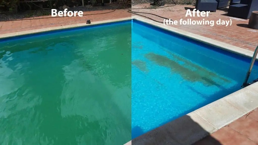 Algae 101 Get Rid Of Green, Mustard And Black Algae In Pool