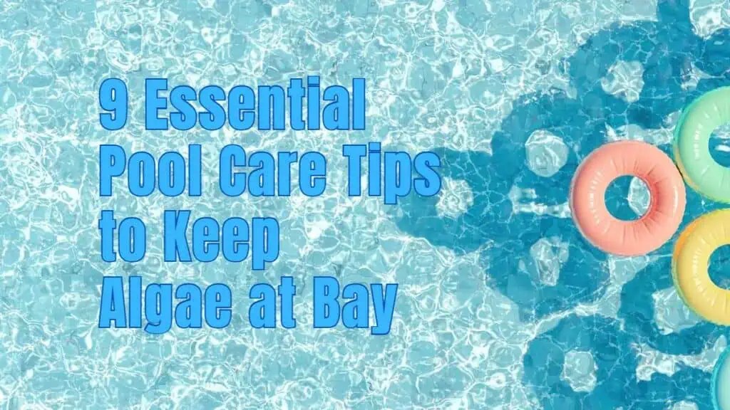 9 Essential Pool Care Tips To Keep Algae At Bay EasyPoolCleaning