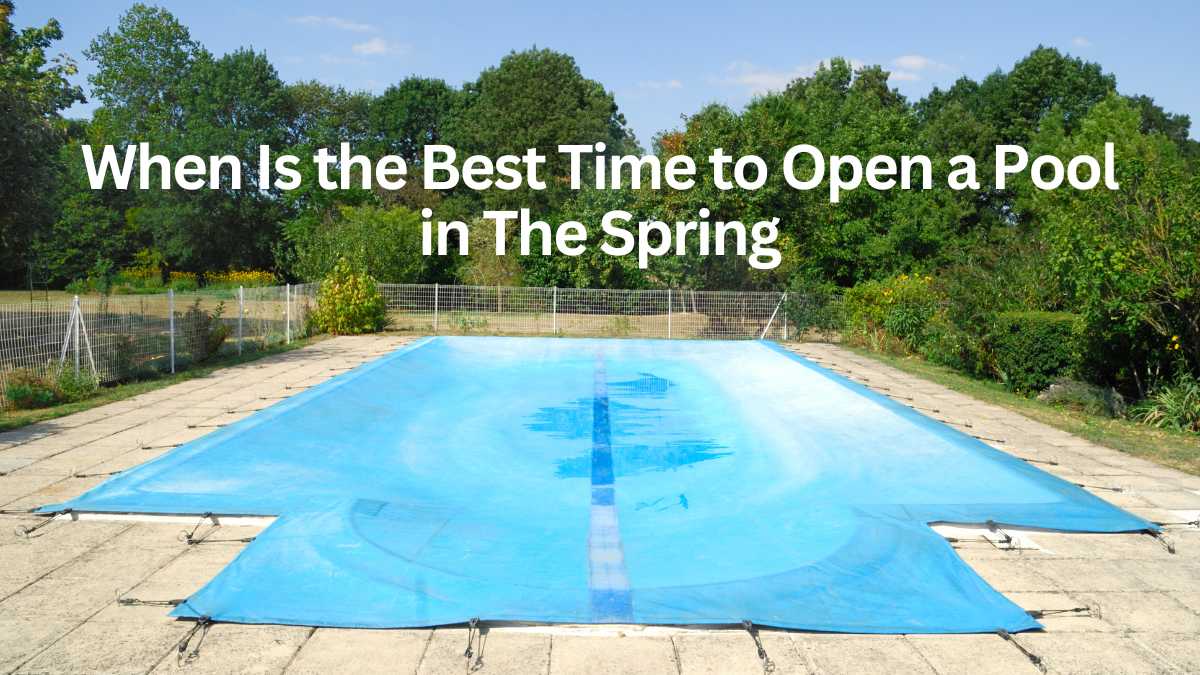 When To Open Pool Timely Tips For A Splashing Start