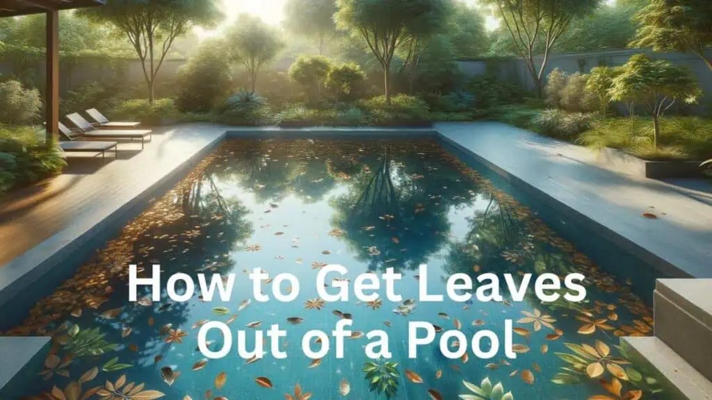 How To Get Leaves Out Of Pool And Keep Them Out