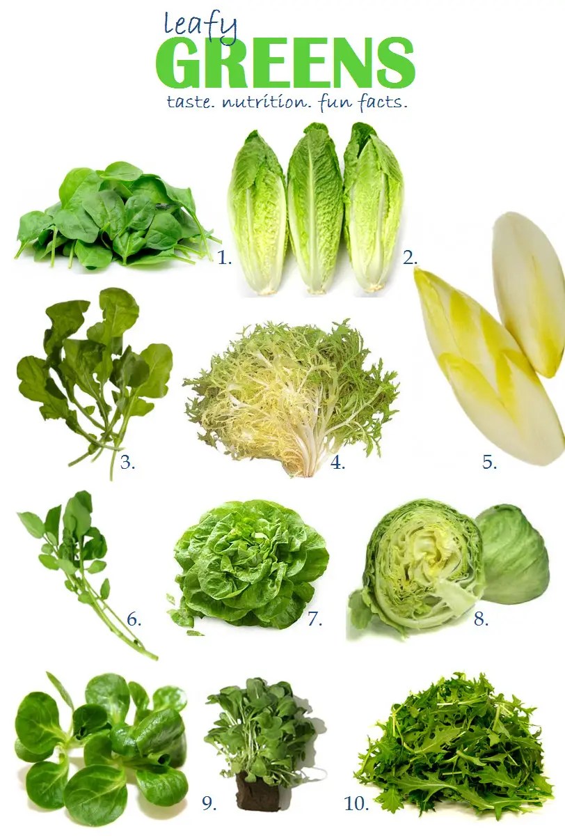 Fun Vegetables Quiz FREE General Knowledge Quiz for Kids Online