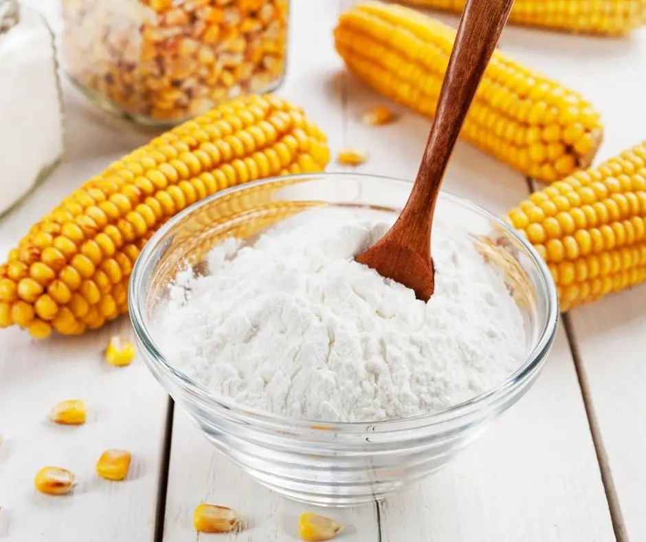 Facts for Kids about Cornstarch Experiment
