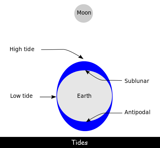 What causes the tides to rise and fall?