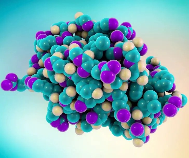 Enzymes Facts for Kids