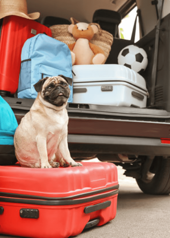 Luggage Storage Perth, Mandurah & Rockingham Easy Storage