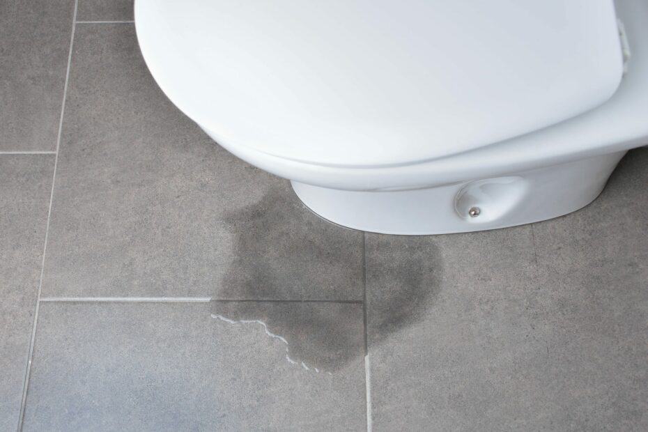 How do I know if my toilet is leaking from underneath? Easy Toilet Tips