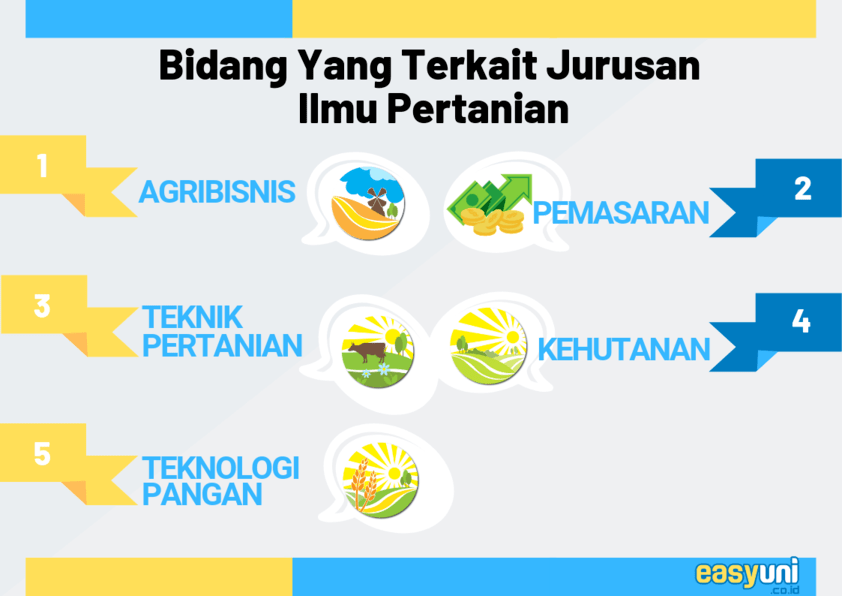 Apa Saja Yang Dipelajari Di Jurusan Manajemen Bisnis Belajar.Lif.co.id