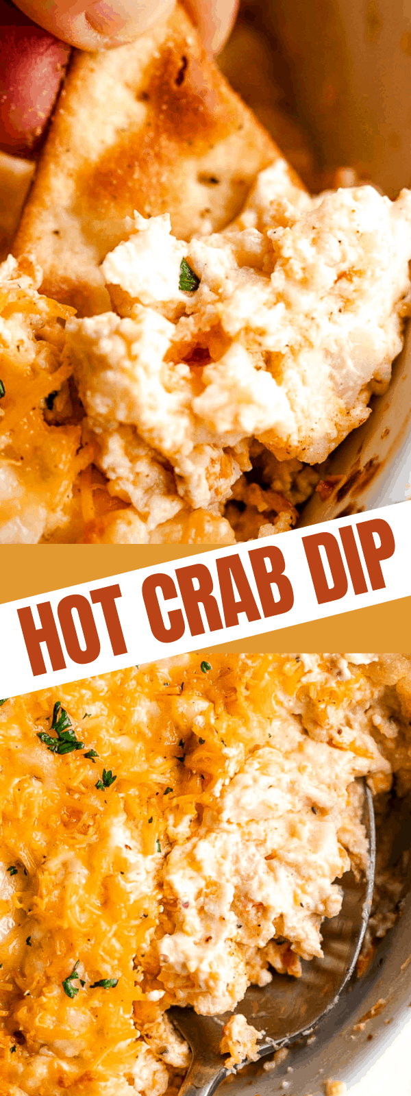 The Best Hot Crab Dip Recipe Cheesy Seafood Appetizer Idea