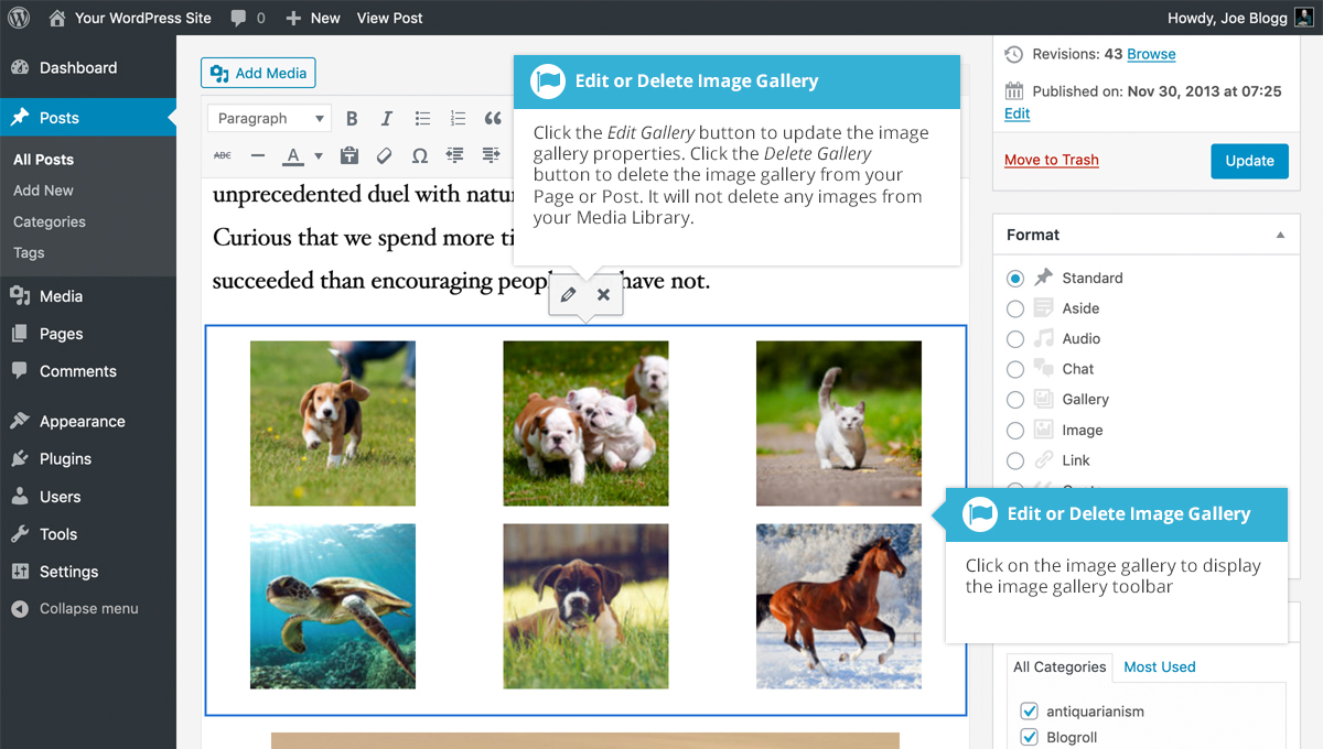 Edit or Delete an Image Gallery Easy WP Guide