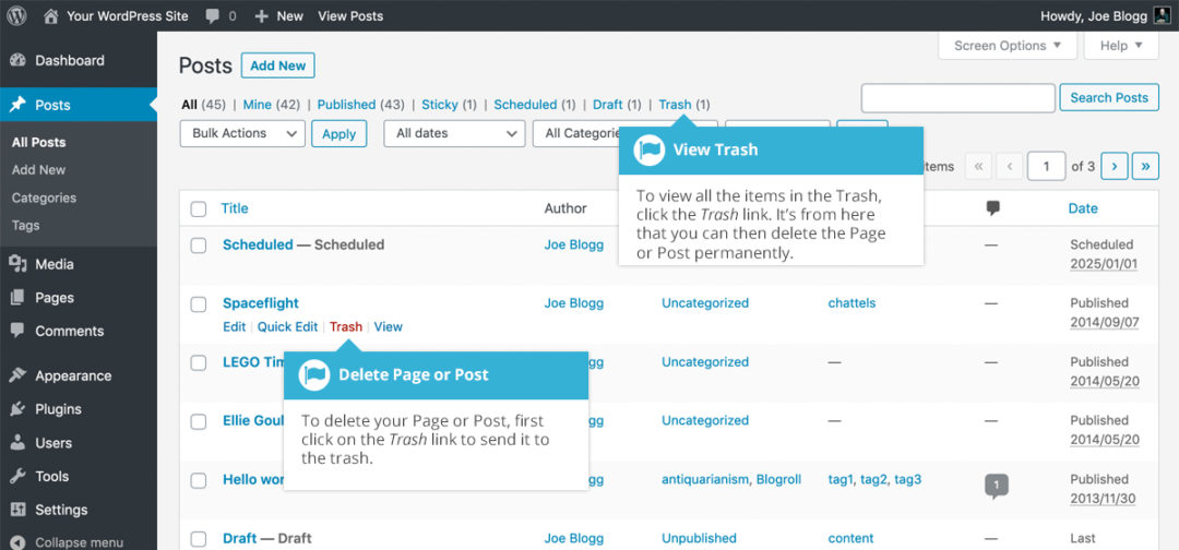 Deleting a WordPress Page or Post Easy WP Guide