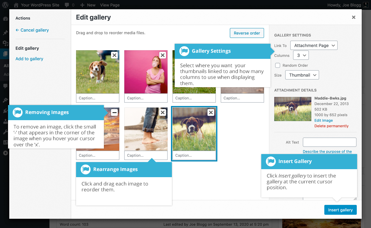 Insert an Image Gallery Easy WP Guide