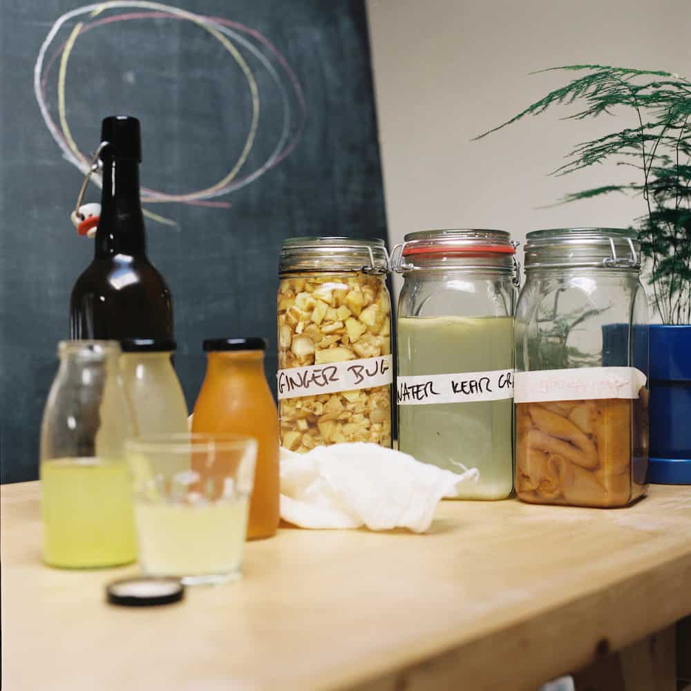 FERMENTED DRINKS EatIth