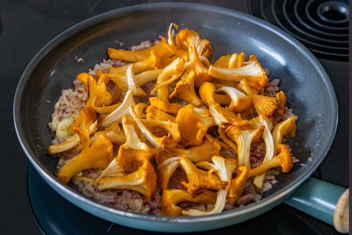 Vegetarische PfifferlingPasta in cremiger Soße Rezept eat.de