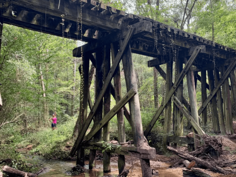 The Top 21 Outdoor Trips for 2021 Eat195