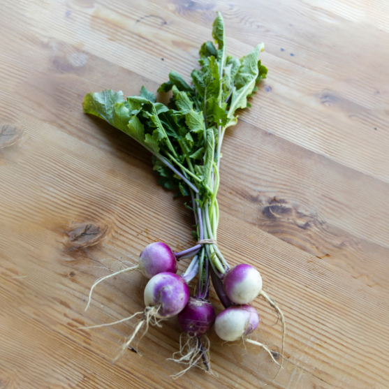 15 health benefits of eating turnips and 14 reasons to avoid them