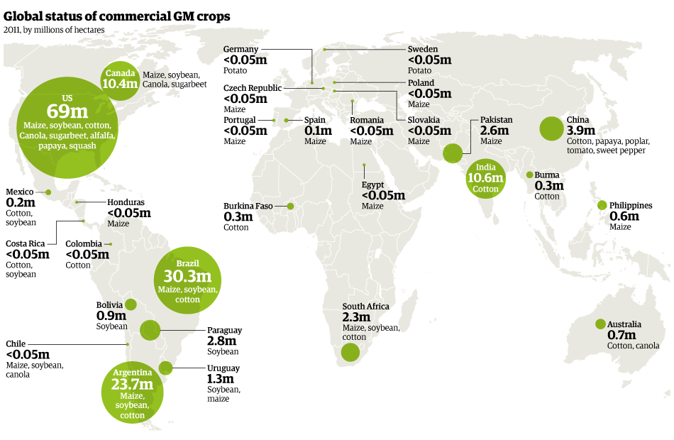 Global Map of Modified Crops Eat Drink Better