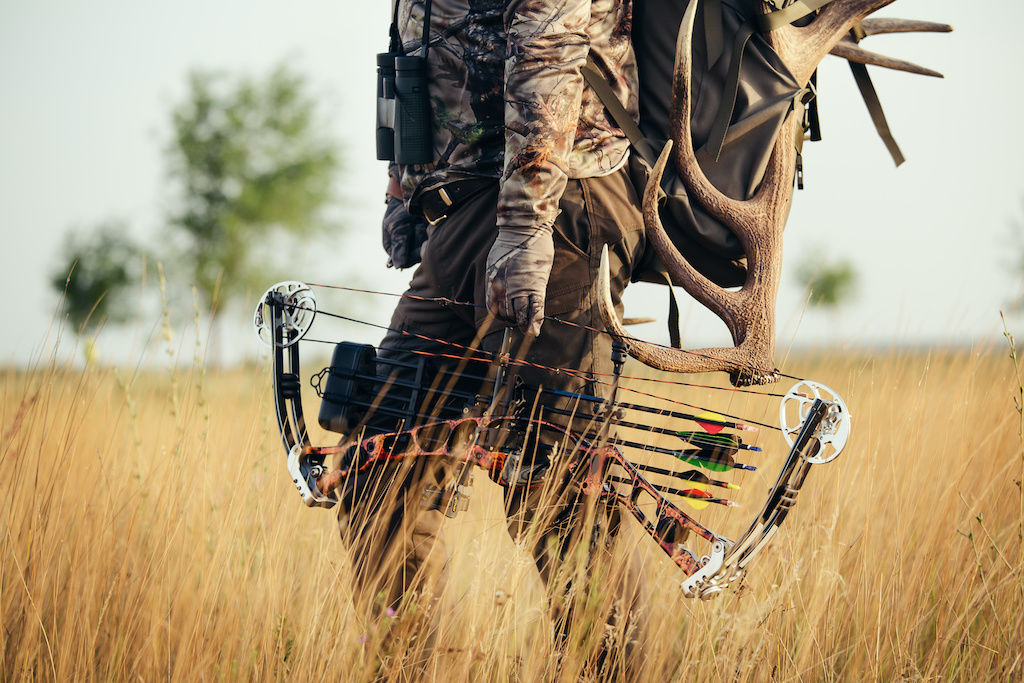 11 Best Hunting Arrows 2022 Top Carbon for Deer, Elk & More
