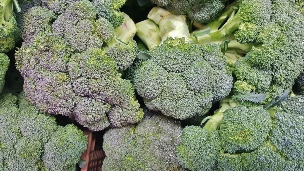 What Is Vegetable Cellulose? [Hidden In These Foods...]