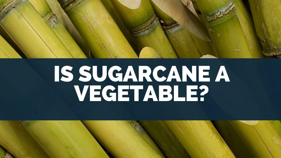 Is Sugarcane A Fruit Or Vegetable? To Grass, Stem]