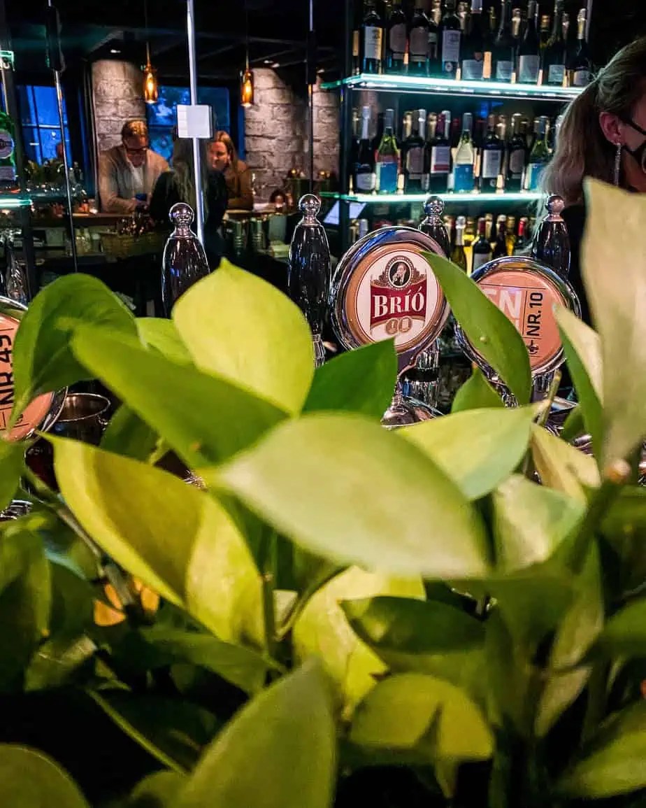 Reykjavik's Top Bars & Cocktail Bars Travel Guide