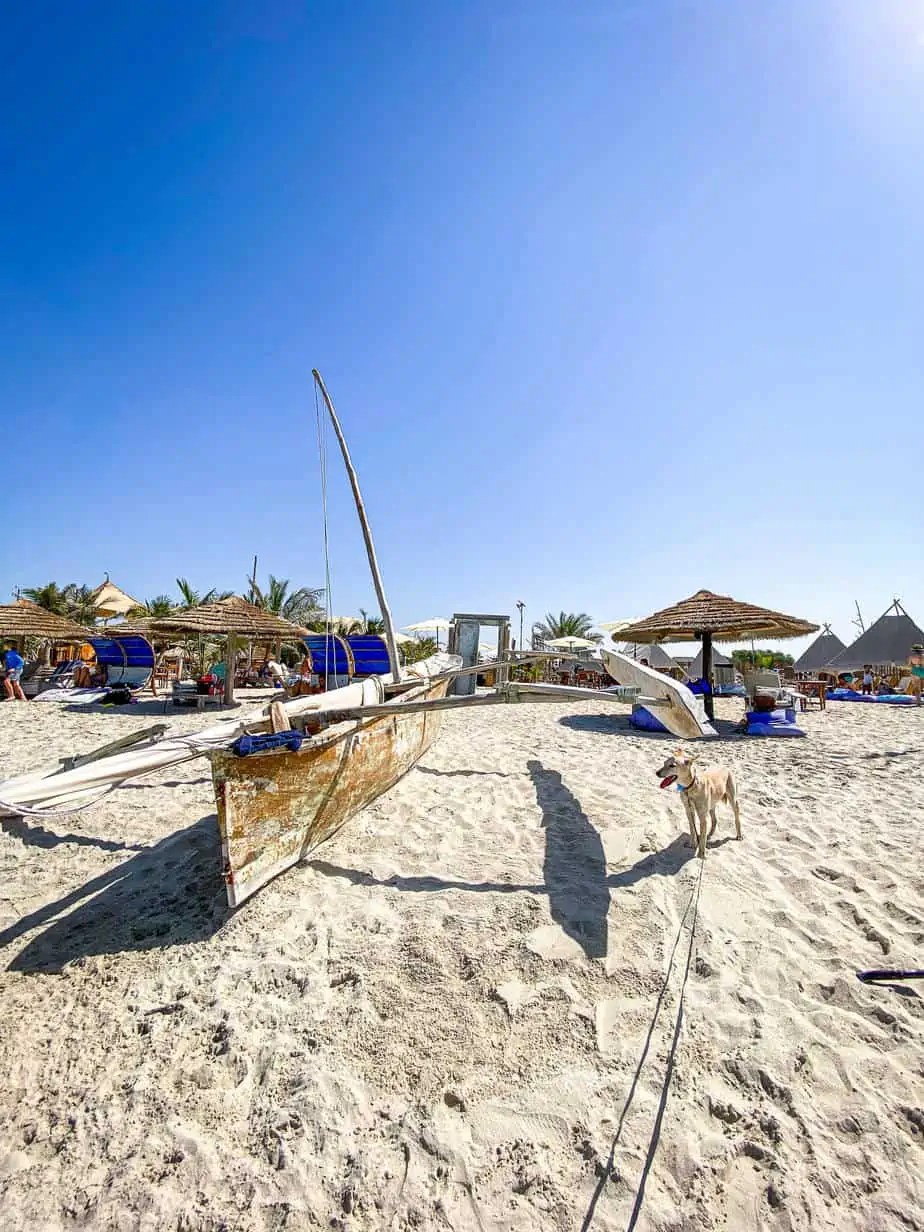 Kite Beach Centre, Umm Al Quwain UAQ’s Best Beach?