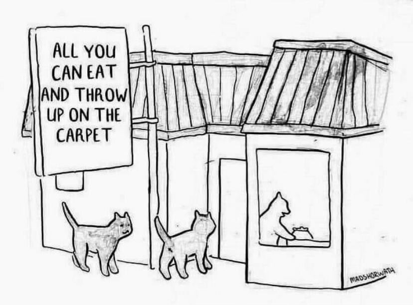 At the local Cathouse Eatgrueldog