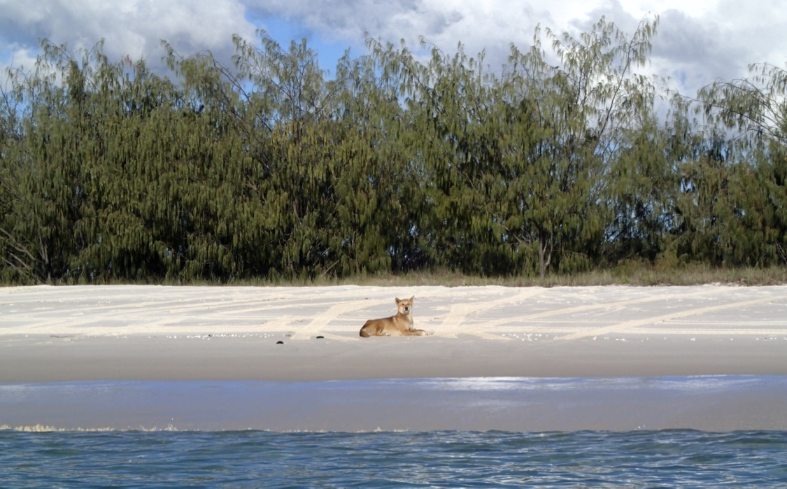 Fraser Island paddle 518 July, 2019