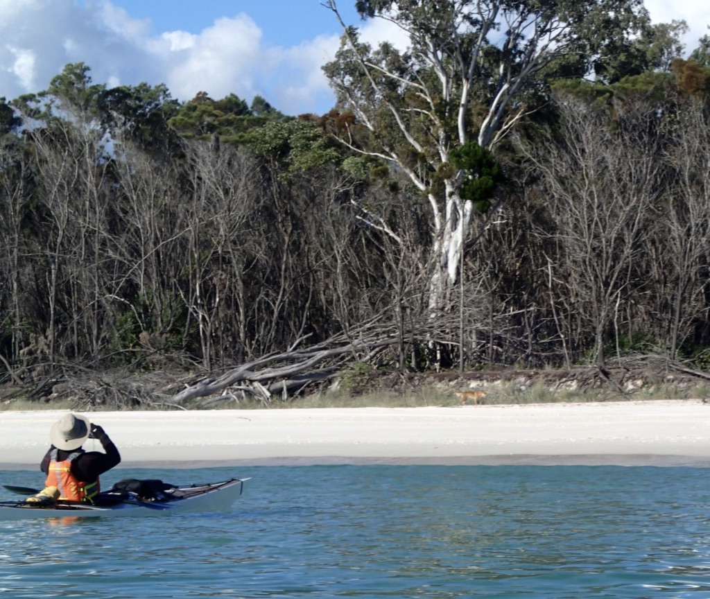 Fraser Island paddle 518 July, 2019