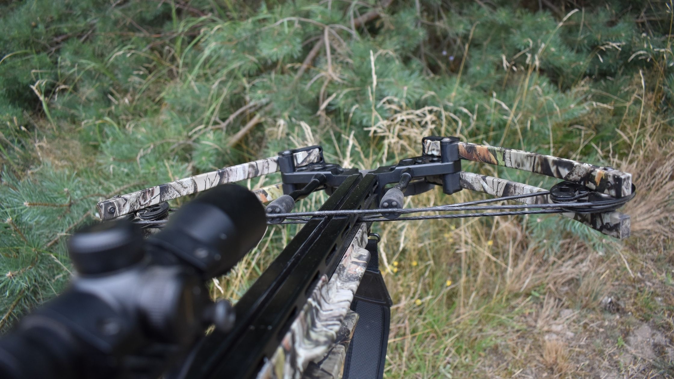 Best Place to Shoot a Deer With a Crossbow