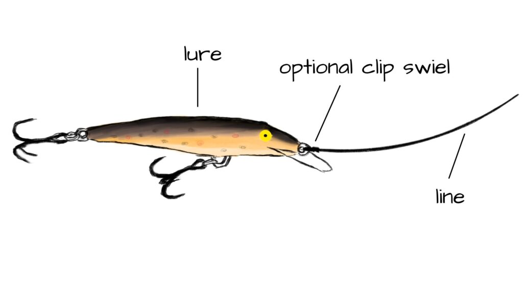 Complete Guide to Trout Fishing Rigs Setup
