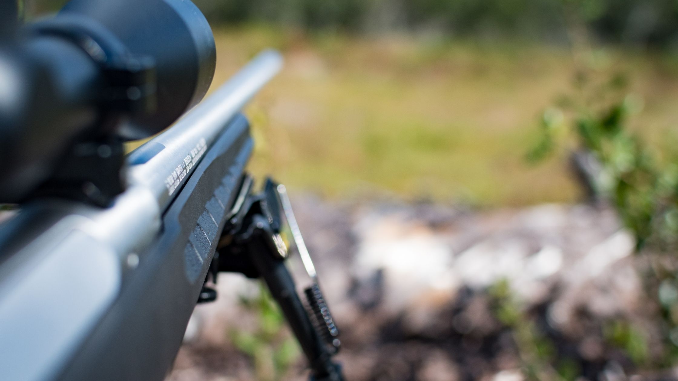 Blued vs Stainless Barrel Which is Better?