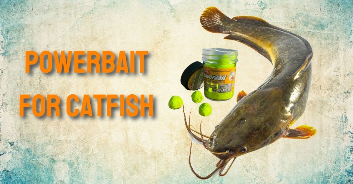 Is Powerbait Good For Catfish?