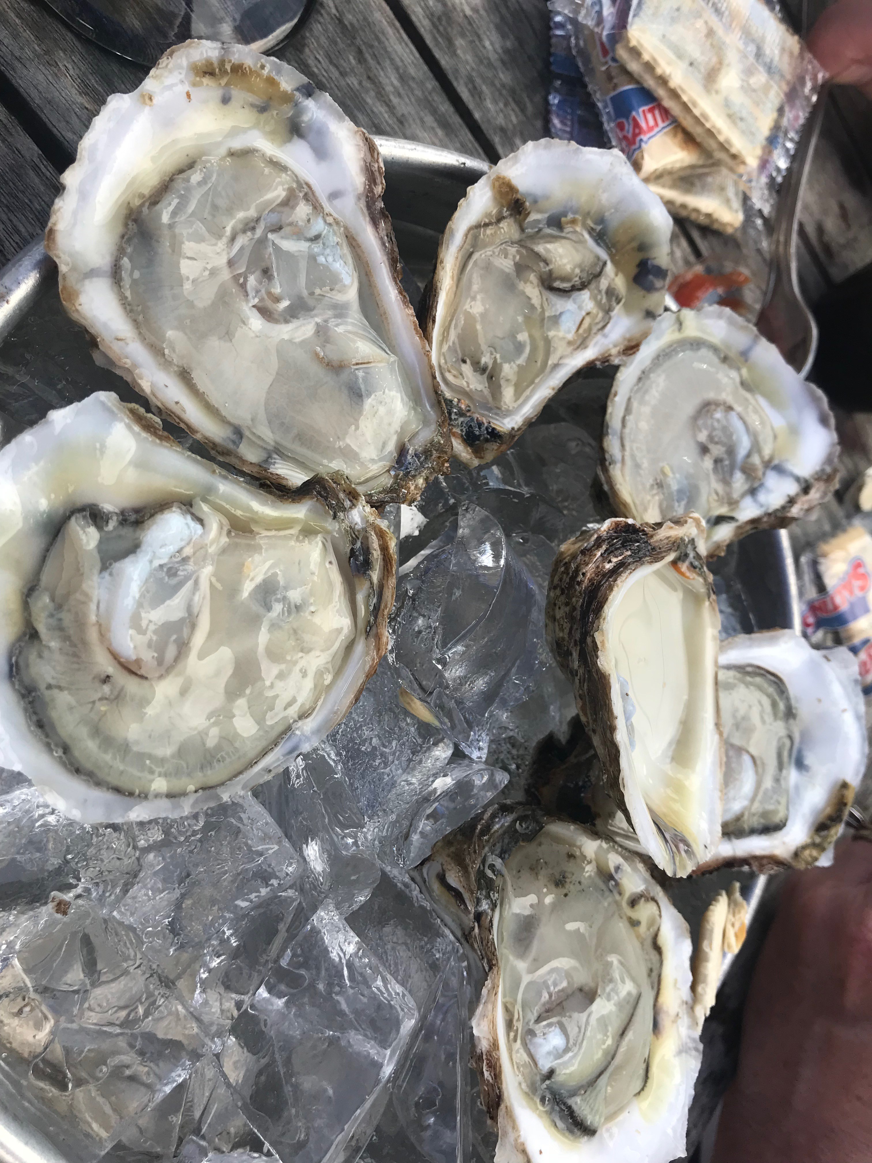 Low Country Oyster Trail rolls on Eat It and Like It