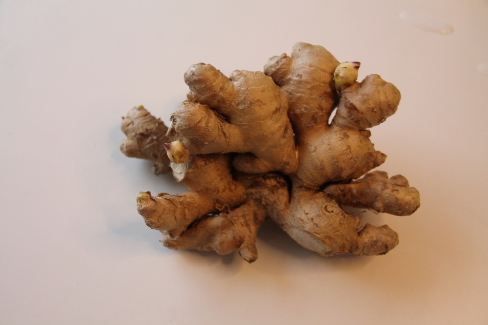 Ginger Bug EAT it NOW or EAT it LATER