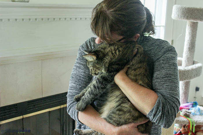 A person holding a cat