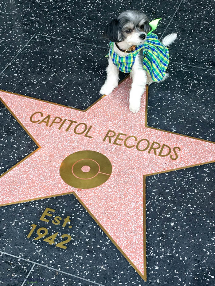Capitol Records star