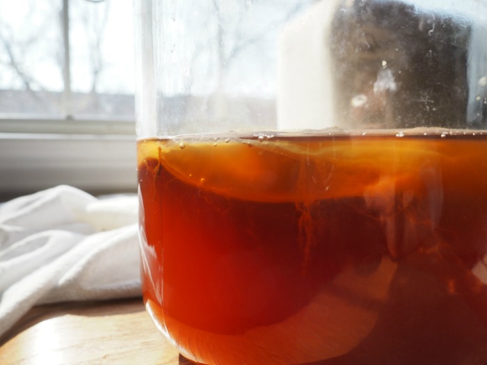 How to make kombucha