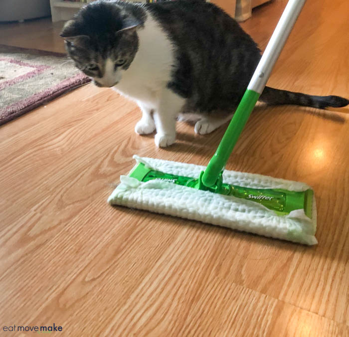Cat Shedding Problems? #ShedHappens - Eat Move Make