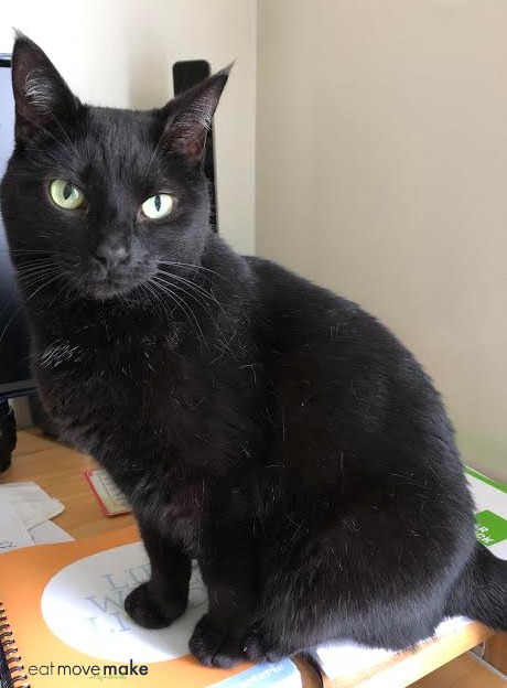 A cat sitting on a table